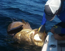 Fishing Florida’s New Smyrna Beach